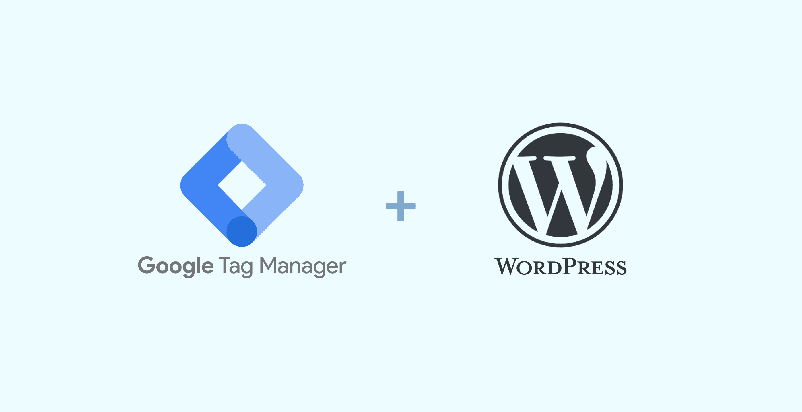 Google Tag Manager on WordPress