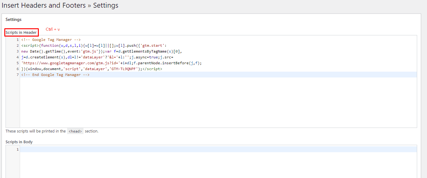 Pasting Google Tag Manager's Head tag in WordPress
